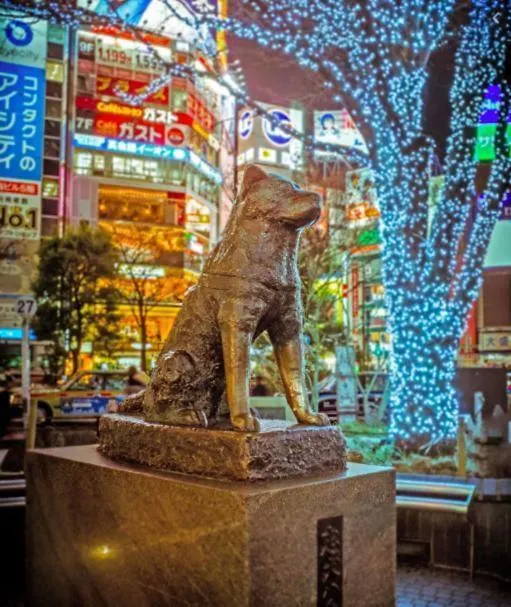 도쿄 Studio Vacation Apt Time Square Shibuya!! Cs2 008 아파트 0*,  일본